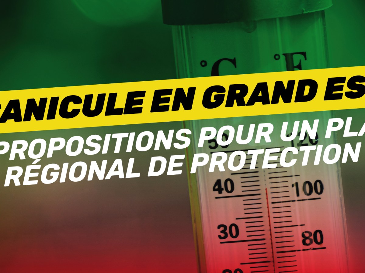 Canicule en Grand Est : 5 Propositions pour un plan régional de&nbsp;protection